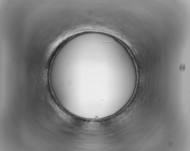 X0000090771503200708101758