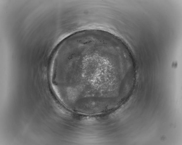X0000090771505200708101758
