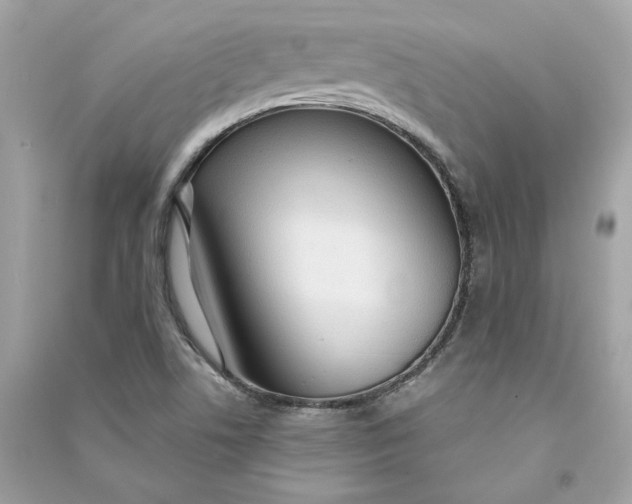 X0000090771506200708101758