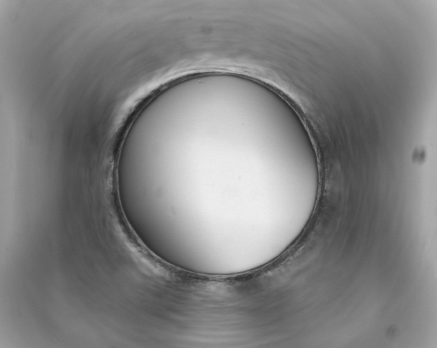 X0000090771507200708101758
