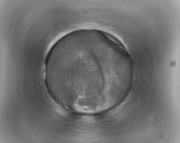 X0000090771509200708101758