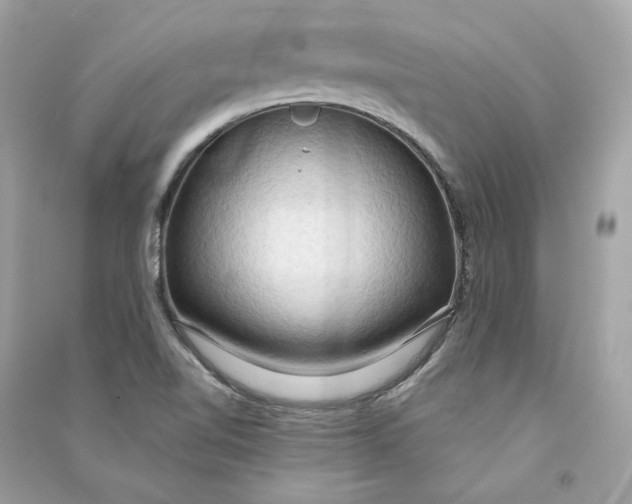 X0000090771510200708101758