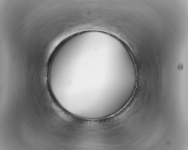 X0000090771511200708101758