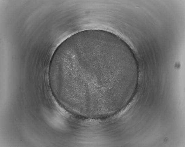 X0000090771513200708101758
