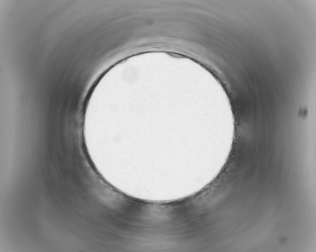 X0000090771514200708101758