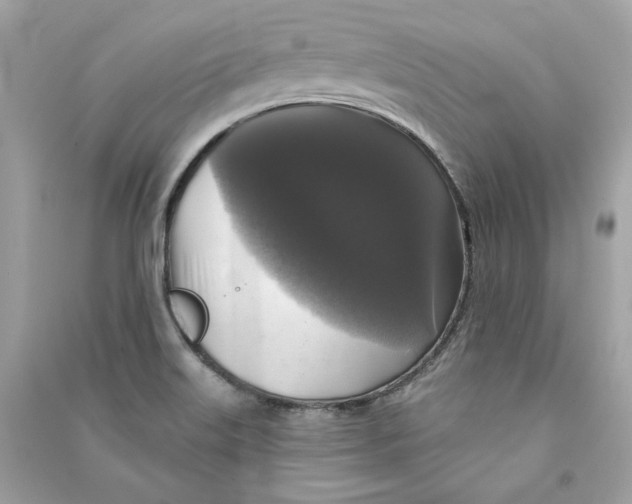 X0000090771515200708101758
