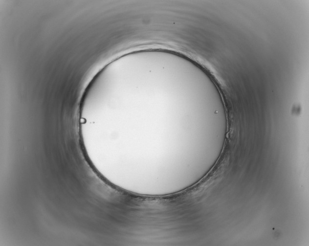 X0000090771516200708101758