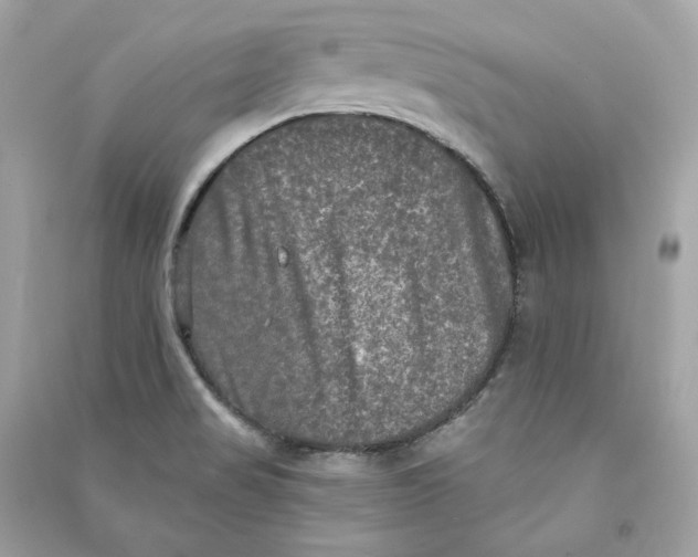 X0000090771517200708101758