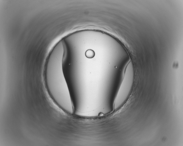 X0000090771518200708101758