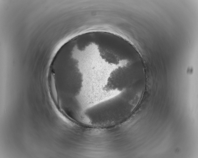X0000090771519200708101758