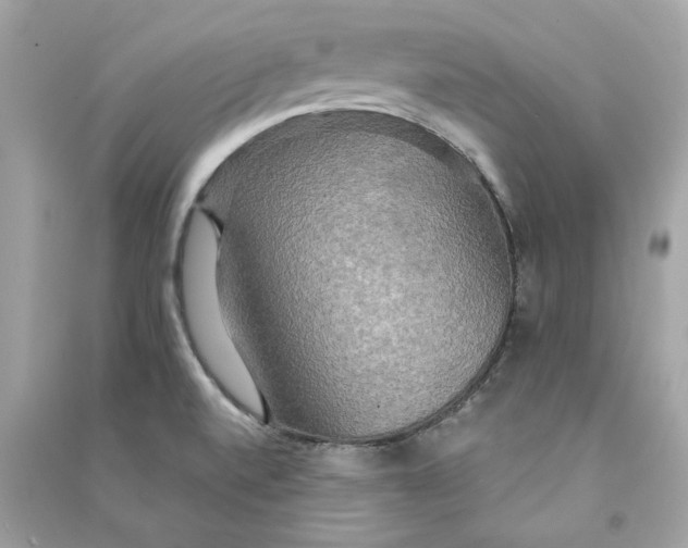 X0000090771520200708101758