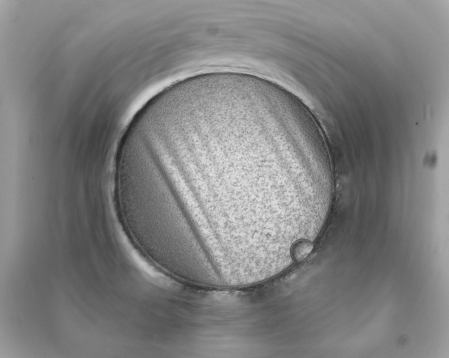 X0000090771523200708101758