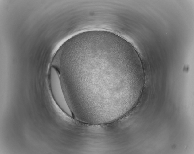 X0000090771524200708101758