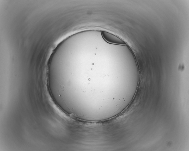 X0000090771526200708101758