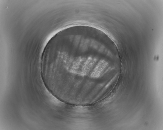 X0000090771527200708101758