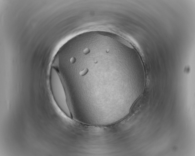 X0000090771528200708101758