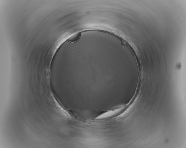 X0000090771529200708101758