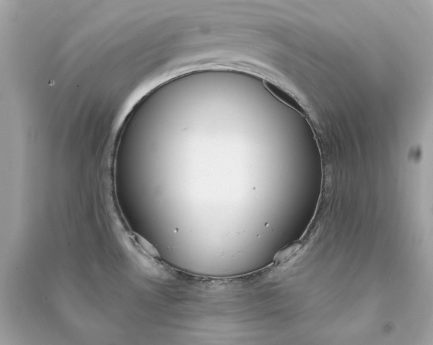 X0000090771530200708101758