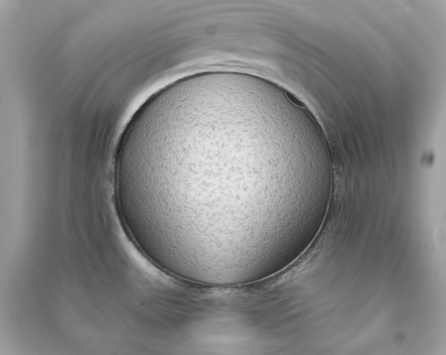X0000090771531200708101758