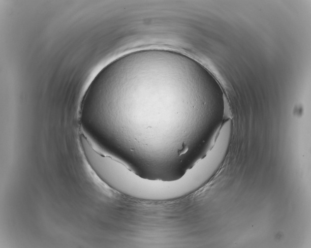 X0000090771532200708101758
