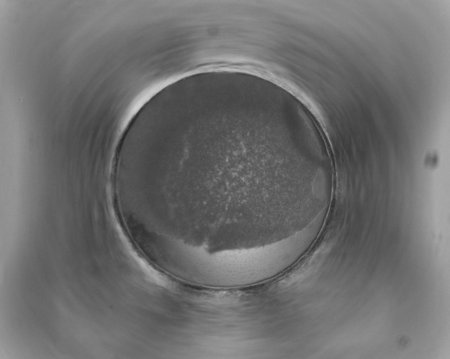 X0000090771533200708101758