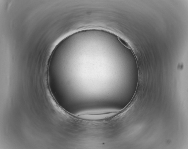 X0000090771534200708101758