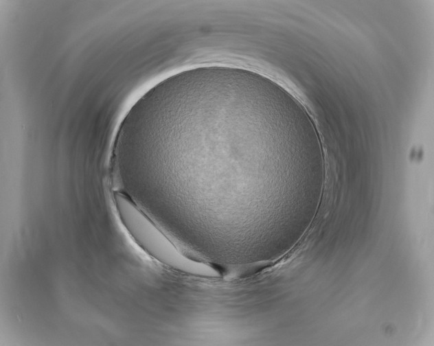 X0000090771536200708101758