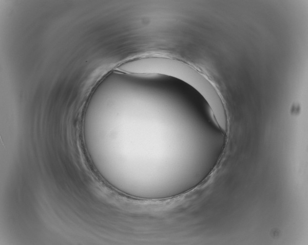 X0000090770001200708172117