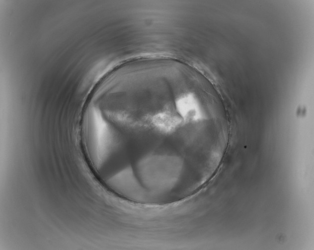 X0000090770002200708172117