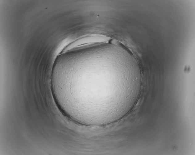 X0000090770003200708172117