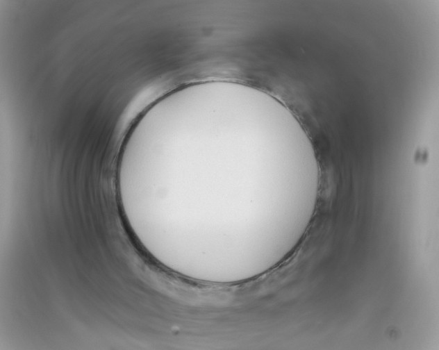 X0000090770004200708172117