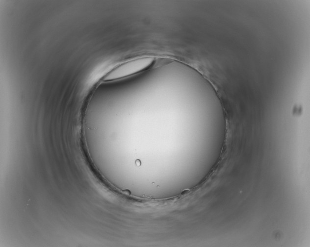X0000090770005200708172117