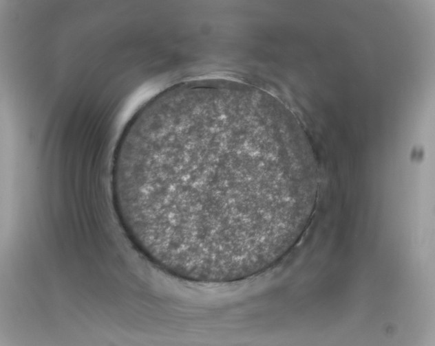 X0000090770006200708172117
