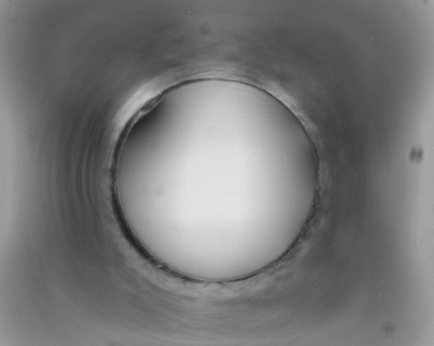 X0000090770007200708172117