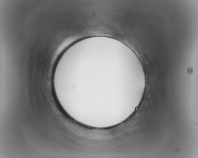 X0000090770008200708172117