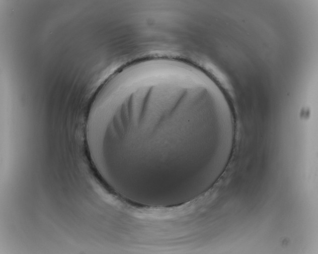 X0000090770009200708172117
