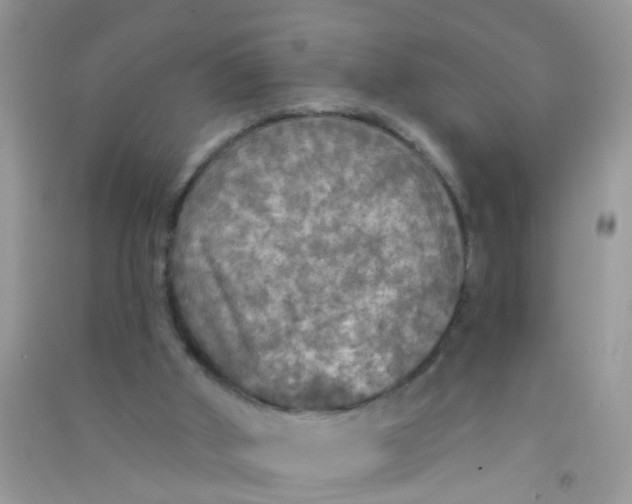 X0000090770010200708172117