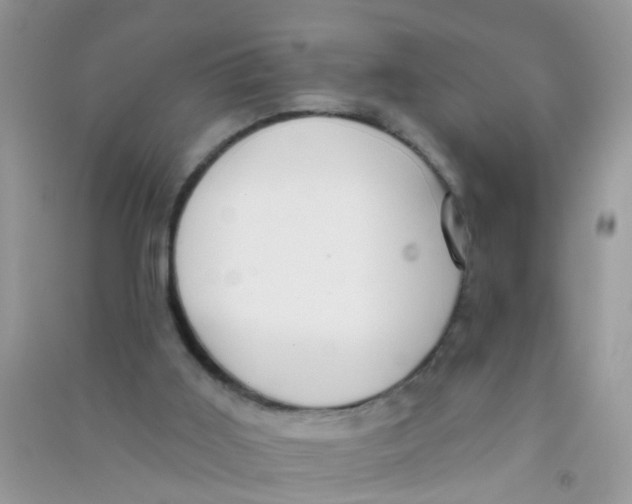 X0000090770011200708172117