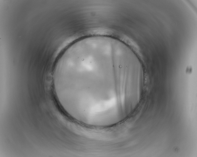 X0000090770012200708172117