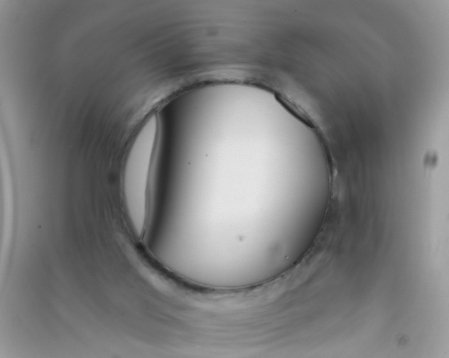 X0000090770013200708172117