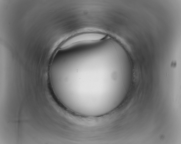 X0000090770015200708172117