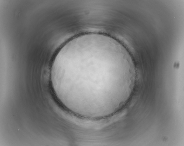 X0000090770016200708172117