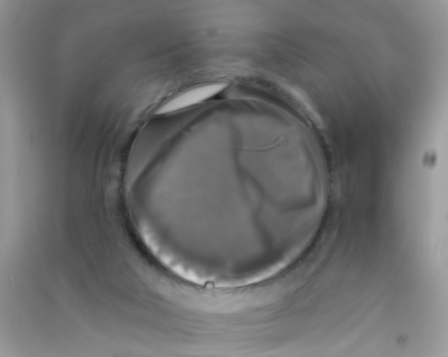 X0000090770018200708172117