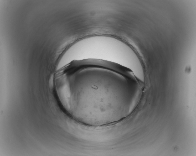 X0000090770019200708172117