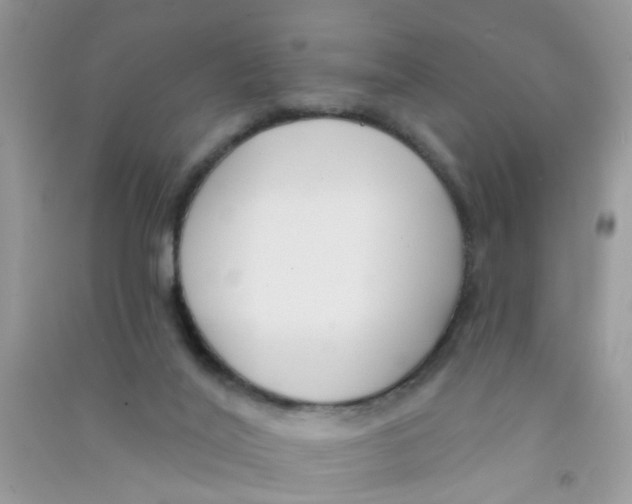 X0000090770020200708172117