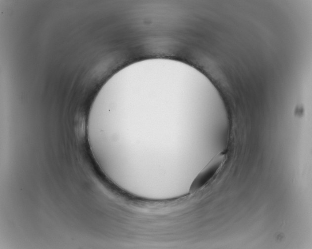 X0000090770021200708172117