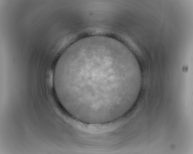 X0000090770022200708172117