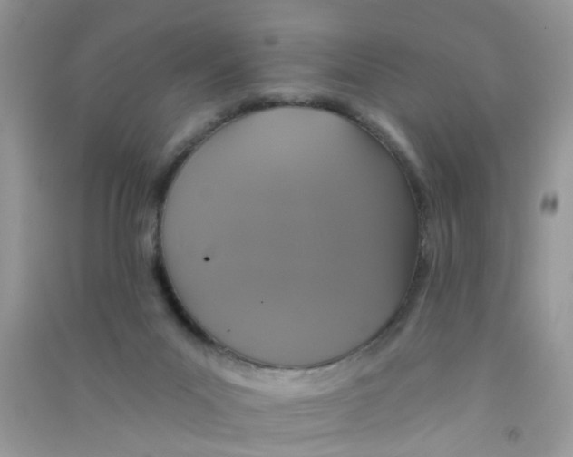 X0000090770023200708172117