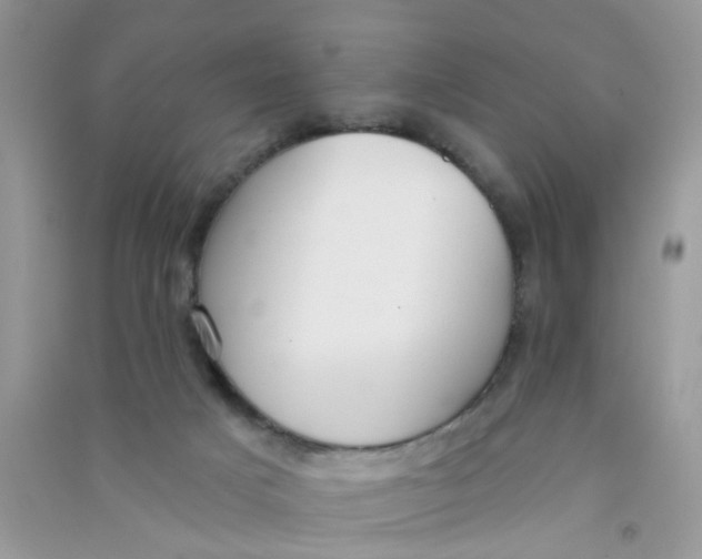 X0000090770025200708172117