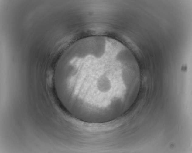 X0000090770026200708172117